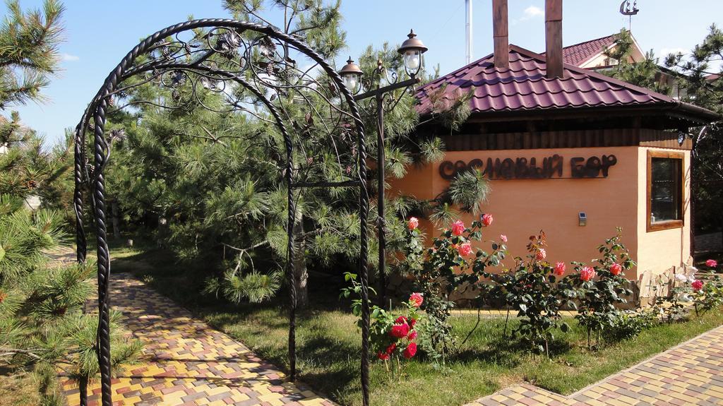 Villa Sosnovy Bor Zatoka Kültér fotó