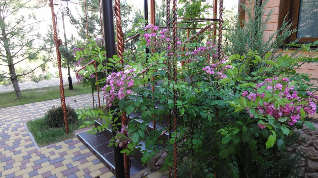 Villa Sosnovy Bor Zatoka Kültér fotó