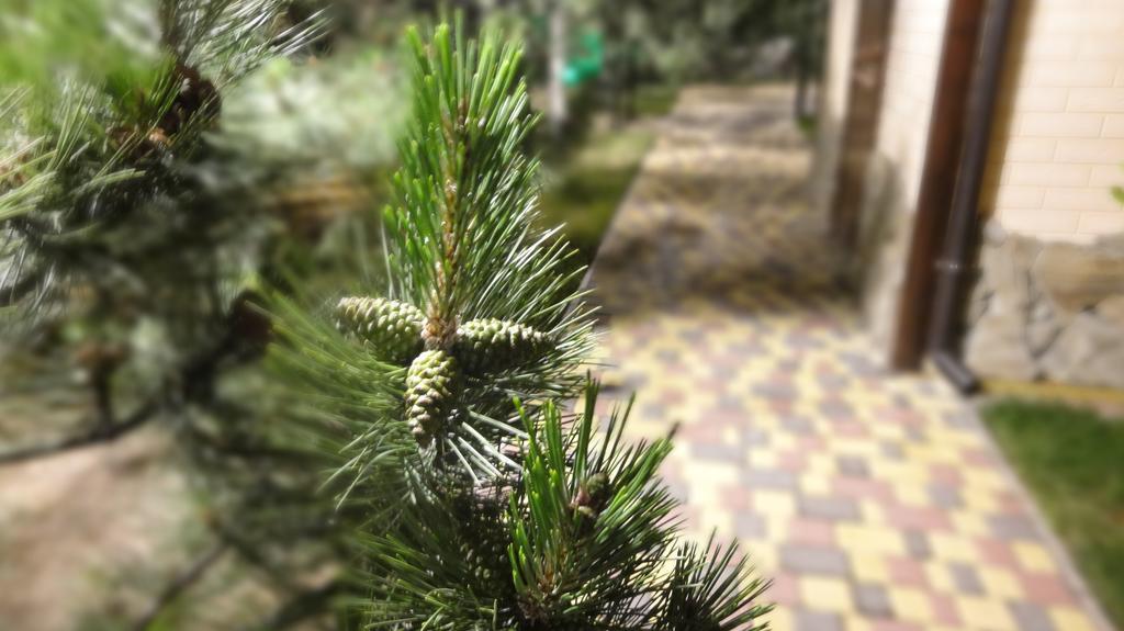 Villa Sosnovy Bor Zatoka Kültér fotó