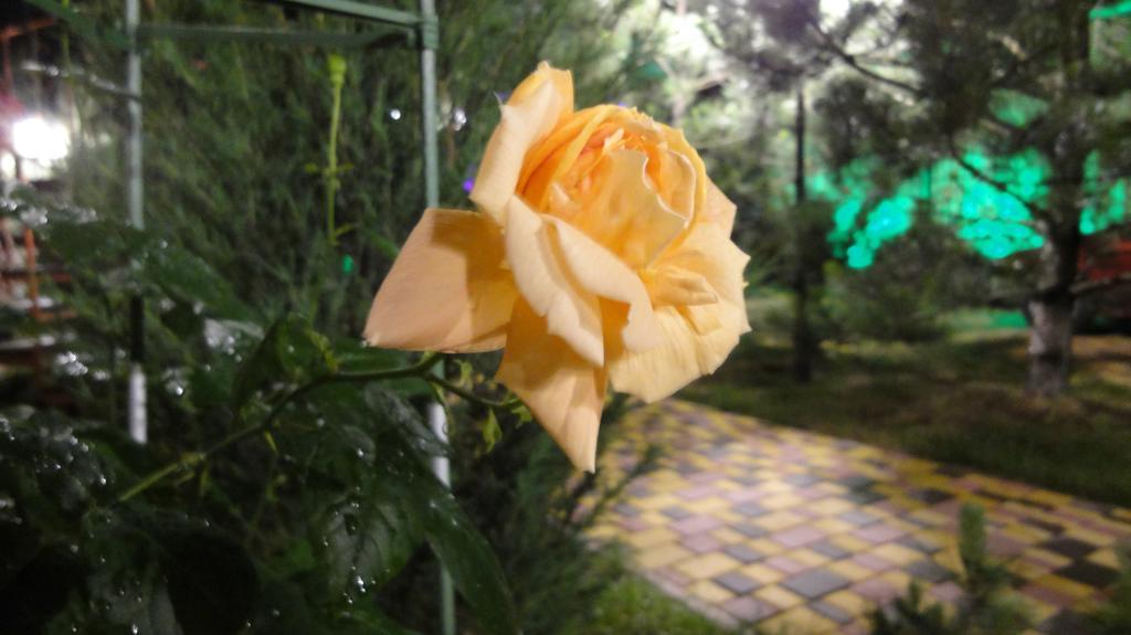 Villa Sosnovy Bor Zatoka Kültér fotó