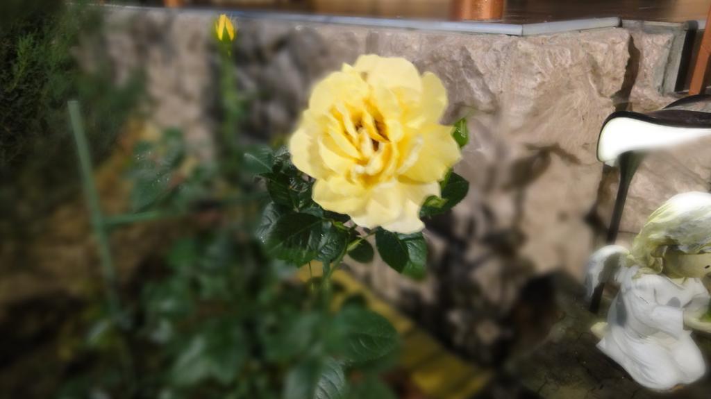 Villa Sosnovy Bor Zatoka Kültér fotó